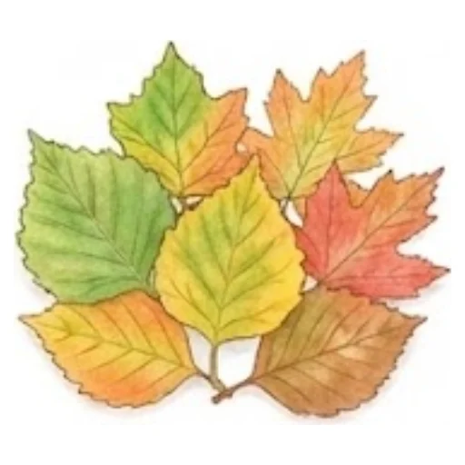 Dry or fresh leaves – Leaf Crown – Activity for kids