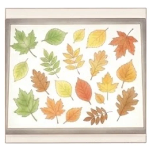 Spread the leaves on the table and look at them together: what is… – Leaf Sorting – Activity for kids