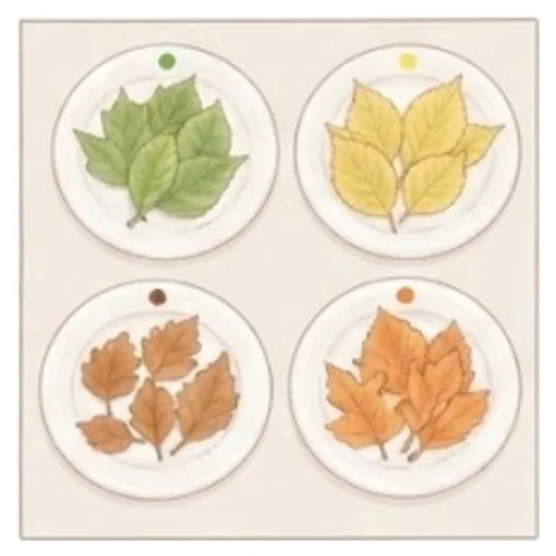 Check together that every leaf is on the right plate – Leaf Sorting – Activity for kids